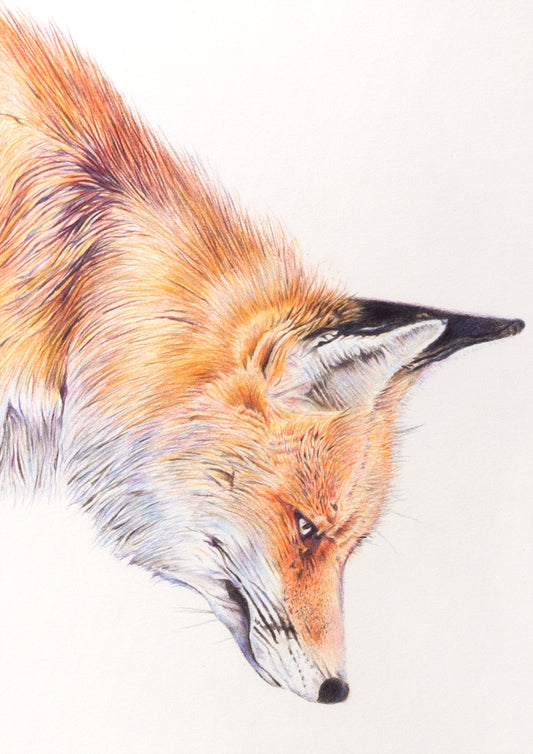 "Discernment" original drawing by Amber Broughton