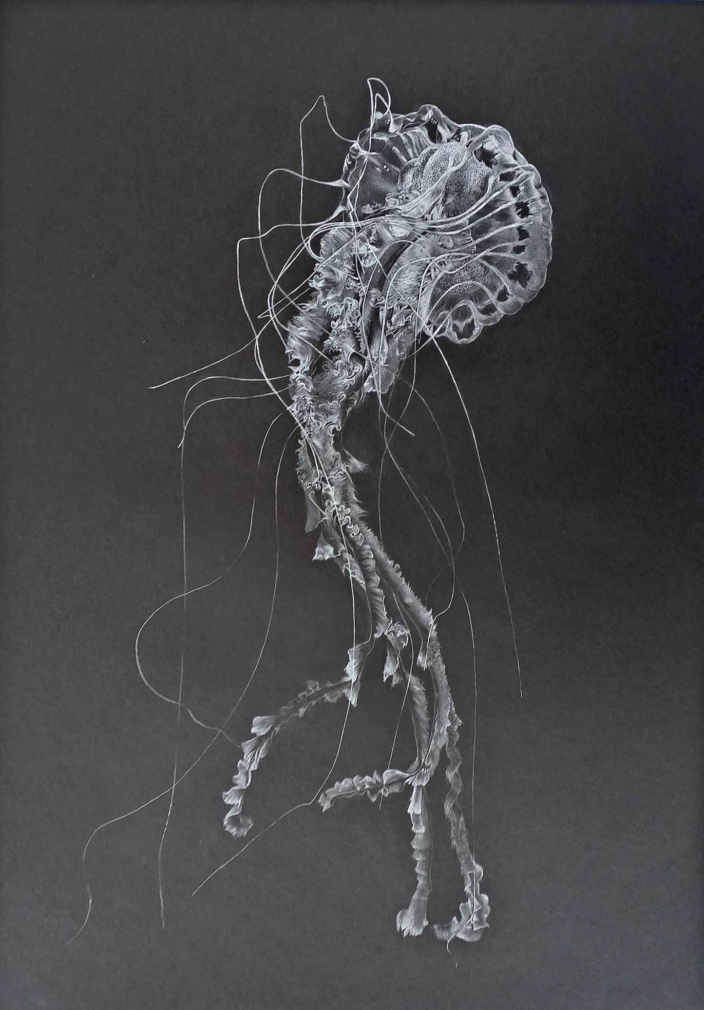 "The Nervous System Tango" glicée fine art print