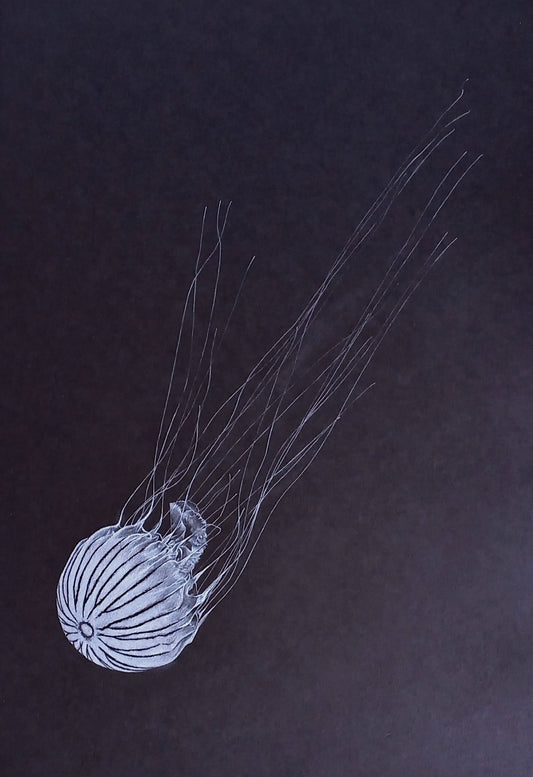 "Conscious Descent" Original Drawing by Amber Broughton