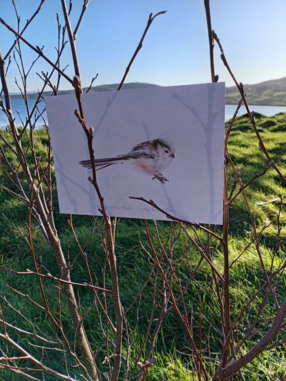Meantán Earrfhada Postcard Print
