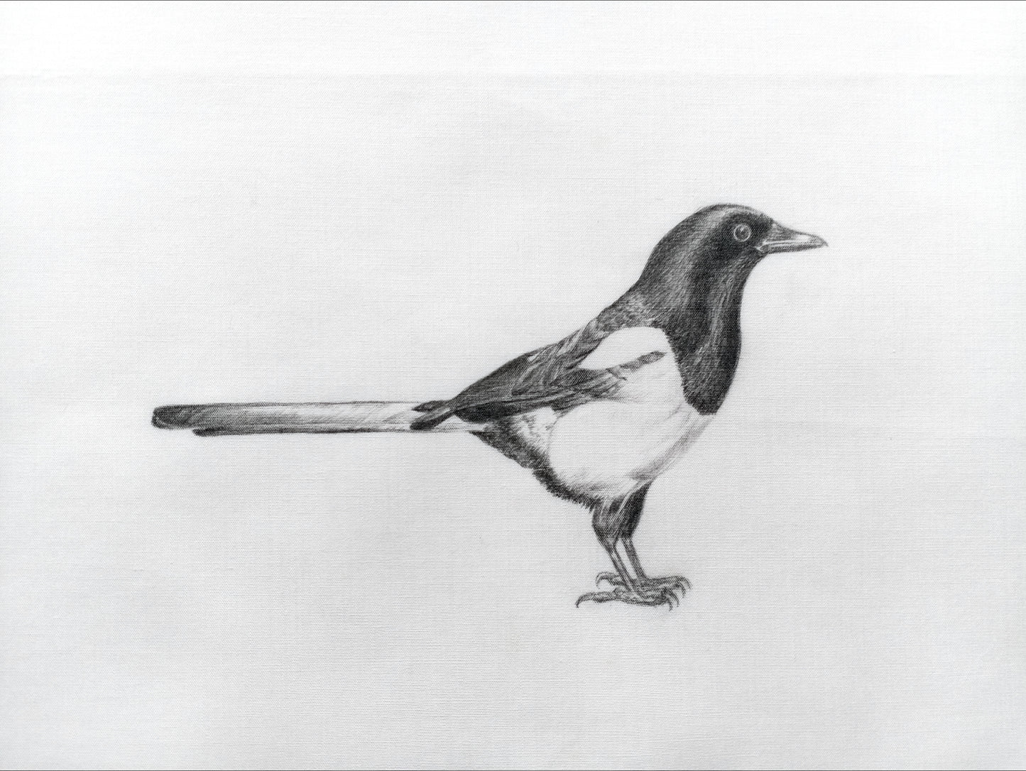 "Drawings on Cotton - Magpie" Printed Card