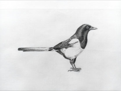Pack of 2 "Drawings on Cotton" Printed Cards - Badger and Magpie