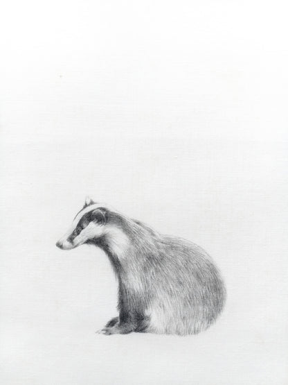 "Drawings on Cotton - Badger" Printed Card