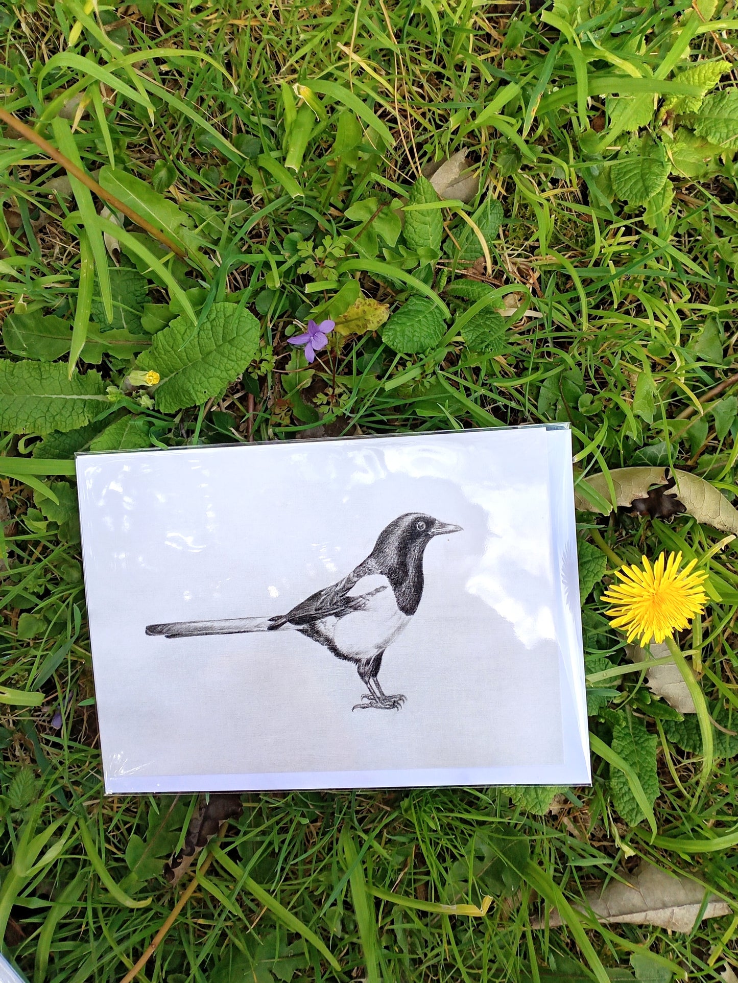 "Drawings on Cotton - Magpie" Printed Card
