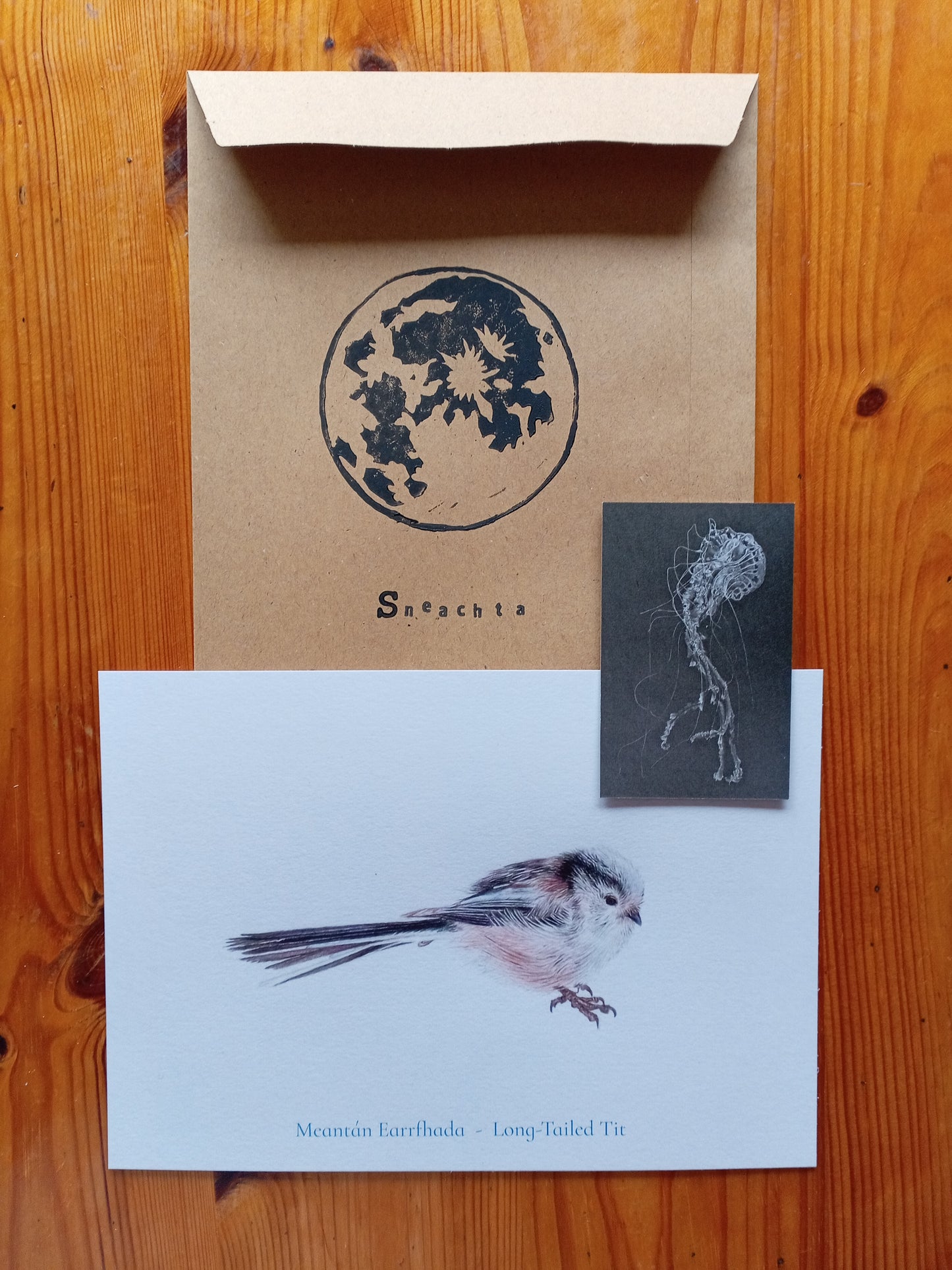 Nature Calendar Postcard Club