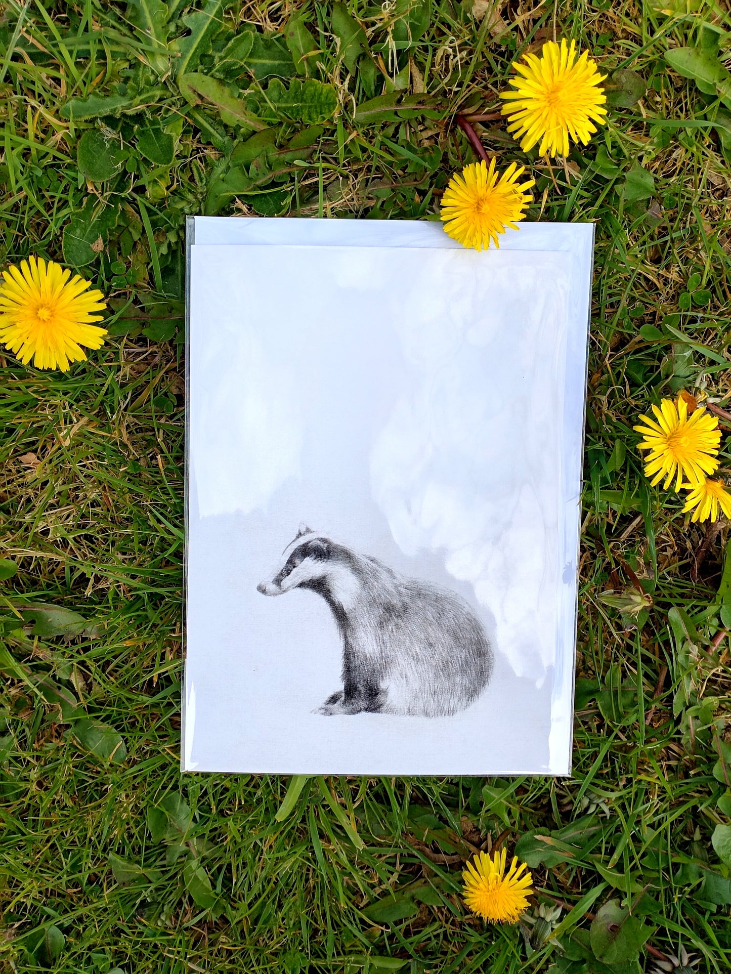 "Drawings on Cotton - Badger" Printed Card
