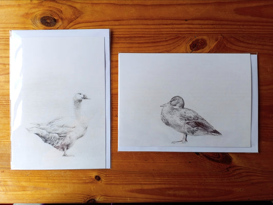 Pack of 2 "Drawings on Cotton" printed cards - Duck and Goose