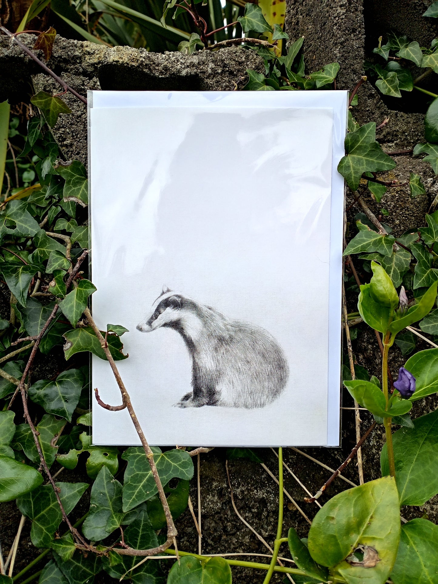 "Drawings on Cotton - Badger" Printed Card
