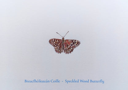 Breacfhéileachán Coille Postcard Print