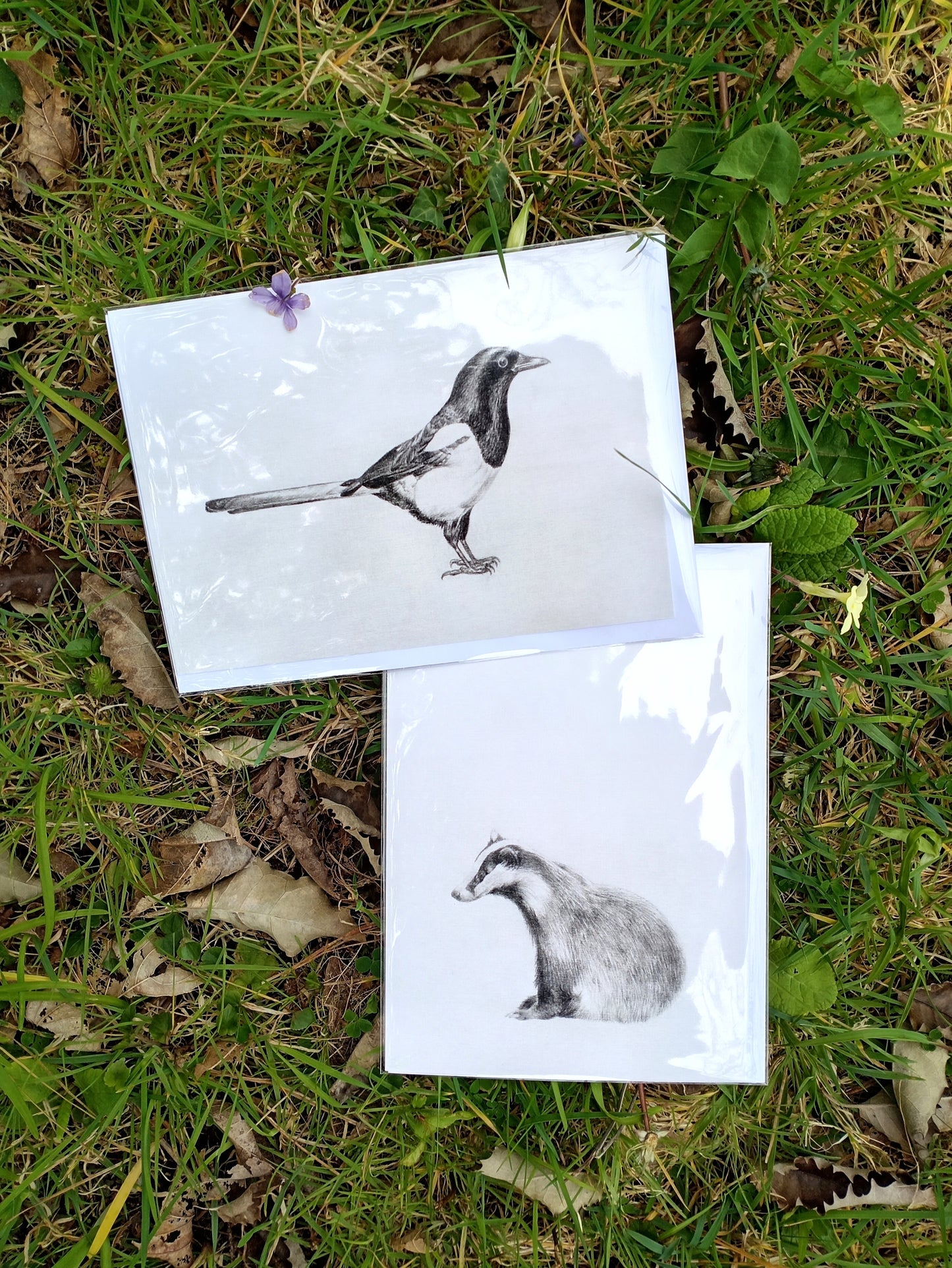 Pack of 2 "Drawings on Cotton" Printed Cards - Badger and Magpie